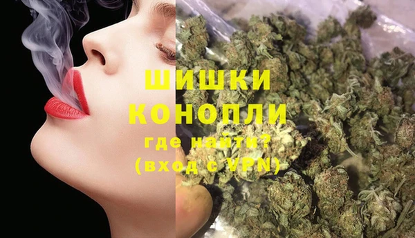 гашик Шадринск