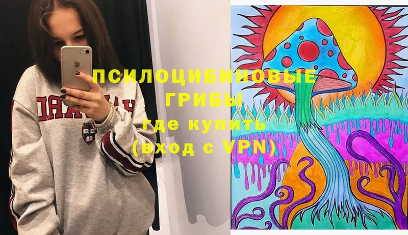 Псилоцибиновые грибы Cubensis  Белая Холуница 
